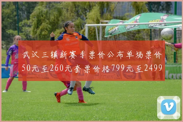 武汉三镇新赛季票价公布单场票价50元至260元套票价格799元至2499元