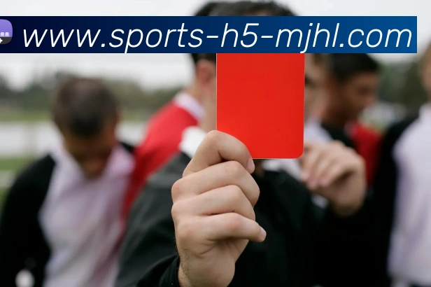 字母哥未来去向成谜韦德表达对雄鹿的期待与希望