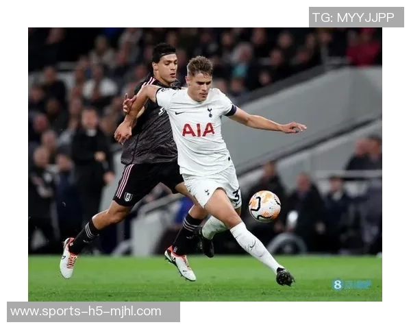 谢林汉姆称赞热刺中卫组合范德芬与罗梅罗为英超顶尖之选